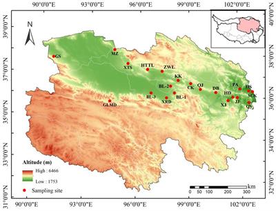 Geographical patterns and environmental influencing factors of variations in Asterothamnus centraliasiaticus seed traits on Qinghai-Tibetan plateau